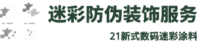 数码迷彩漆施工服务